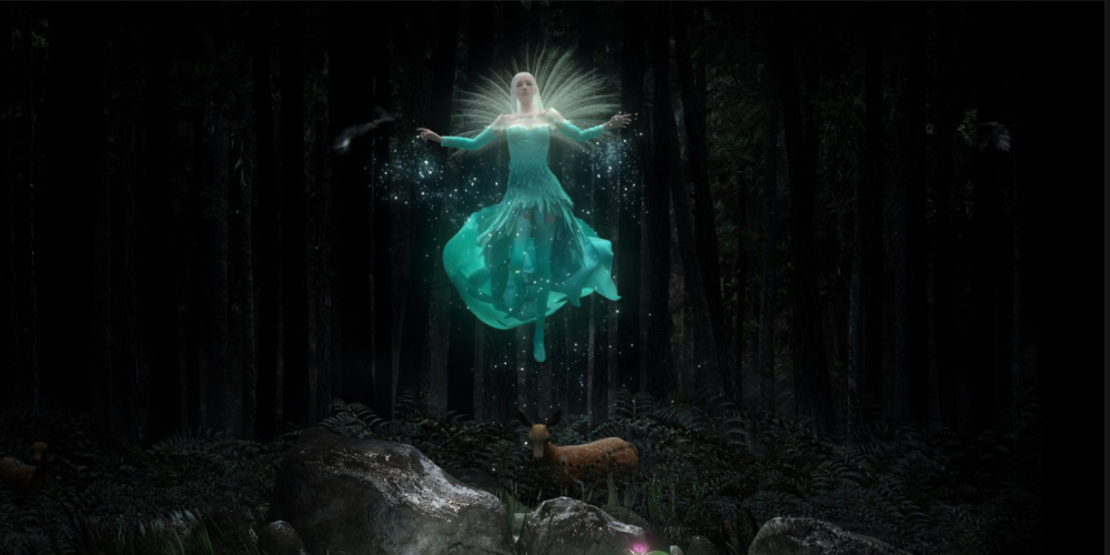 宁波象山魔法森林公园